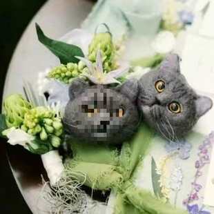 ��ë�ִ����� ؈����� �ֹ�����diy���ϰ��Y���H�ֻ�Y���󻨟o