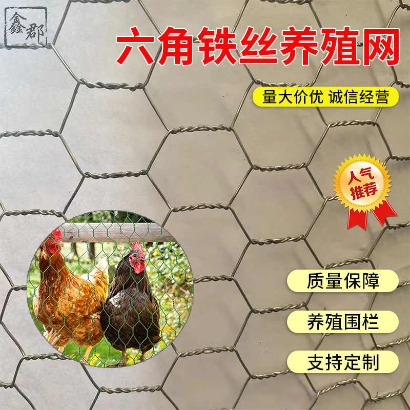 一件批发价防锈保温热镀锌铁丝网养殖网围栏防护六角拧花网铁丝网