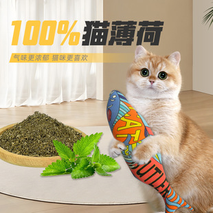 ؈������߶�؈�~ ��ҧ��؈����؈���˽␞����ĥ��ľ��ޤ؈�~