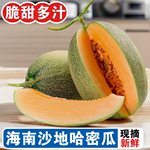 海南哈密瓜 3/5/9斤新鲜佛罗水果蜜瓜25号甜瓜西州蜜一件代发整箱