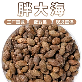 其他药食同源;代用/养生茶;花果茶