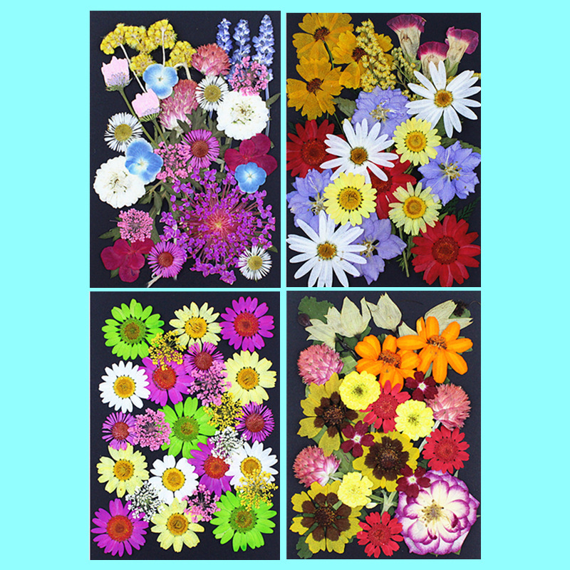 干花材料批發黑色底卡黑卡纸压花材料包真花标本儿童手工书签批发