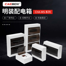 SbCHA-MS·  36· pſ_