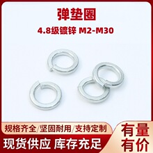 4.8�����|Ȧ�S��ֱ����\���ɉ|Ȧ�_�ڏ��Խ��Ӊ|���ُ��|Ȧ���l