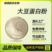 大豆蛋白粉 大豆分离蛋白300目 食品级饲料级  源头厂家 量大从优