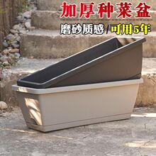 �̨�N�����ͥ�̨�߲˷N�������L�������ϻ����L�l�軨�۷Nֲ��