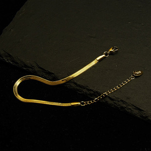 Korean Style Fashionable Simple Stainless Steel Flat Chain 18K Gold Blade Bracelet for Women, Stylish Ins Titanium Steel Snake Bone Chain Anklet