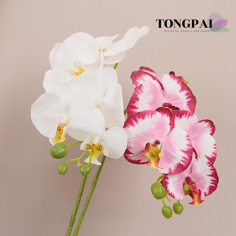 Flor Artificial sentir pegamento 5-cabeza mariposa orquídea flor artificial sola flor falsa 3D adornos de impresión transfronteriza al por mayor