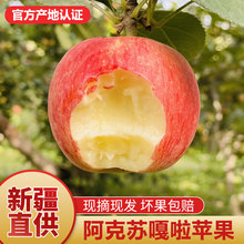 新疆正宗阿克苏嘎啦苹果正品红旗坡当季新鲜水果冰糖心早期品种