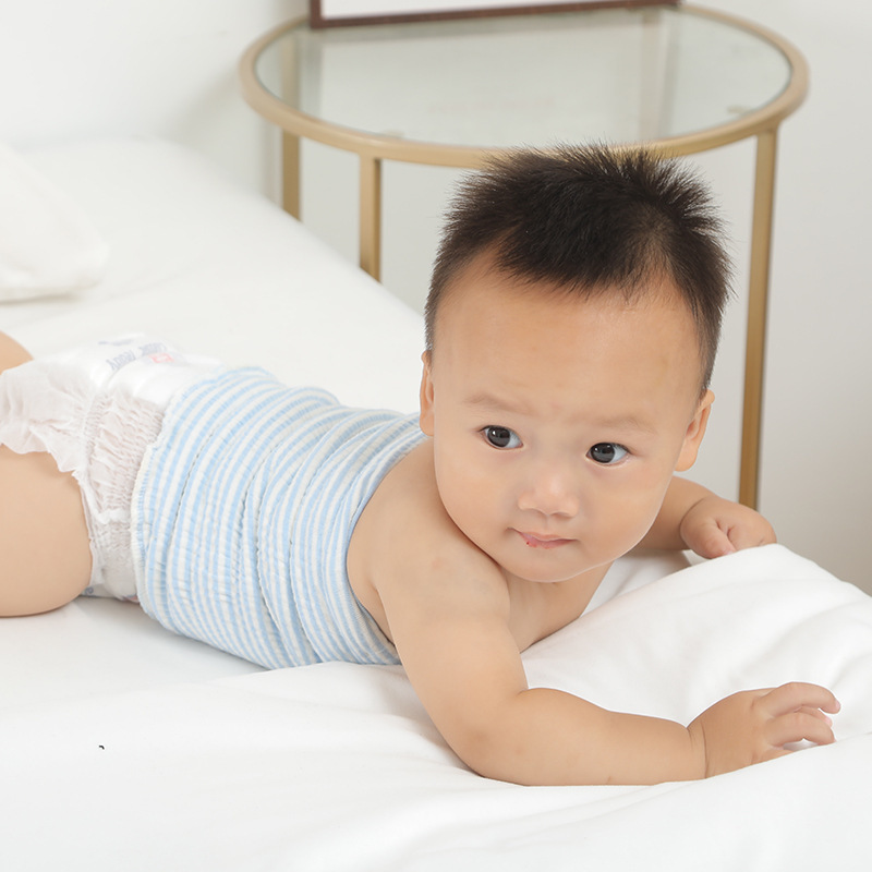 冬は綿を入れて保温してお腹を保護します。|undefined