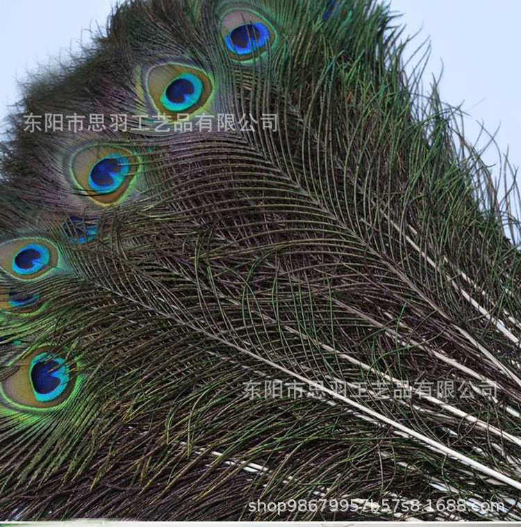 O1CN01rhb3SZ2IeUMo7XG5S_!!7849