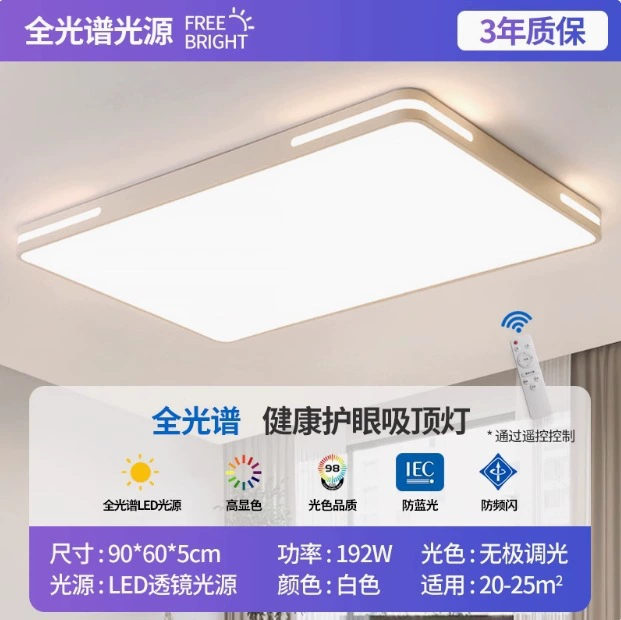 LED rectangular ceiling light, lights for living room for corridor for gazebo