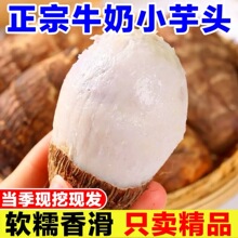 云南牛奶小芋头9斤毛芋头新鲜蔬菜小香芋槟榔芋芋艿农家自种红芽