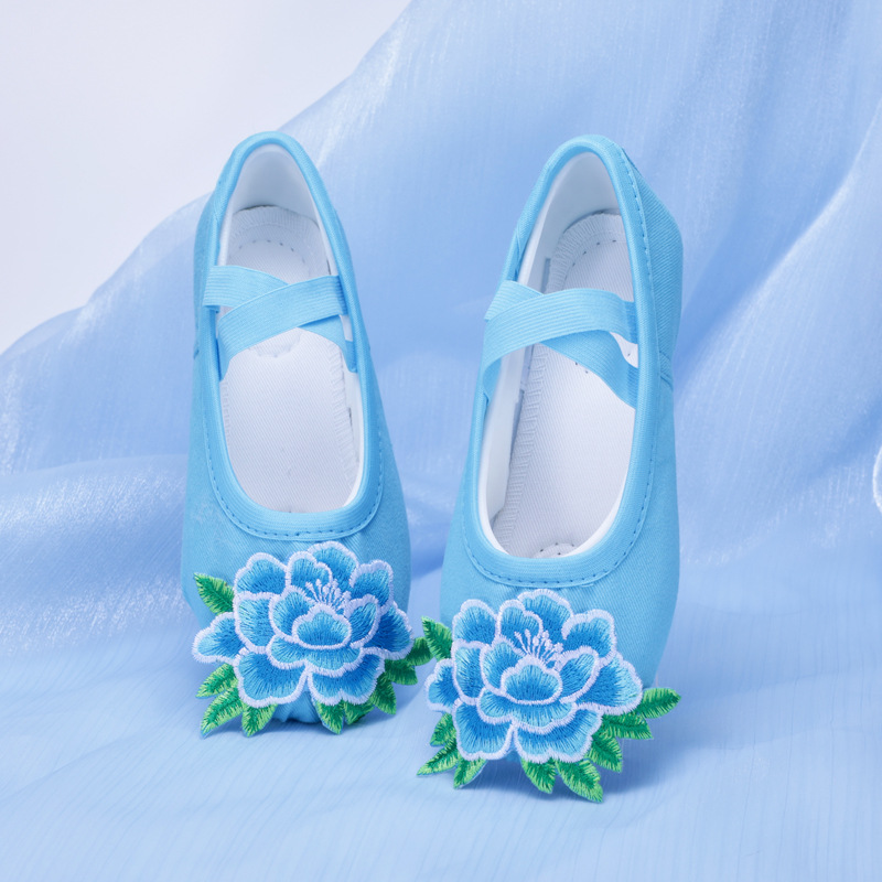 Performance Shoes for Kidsren and Adults, Yangko Dance Shoes, Stage Dance Soft-Soled Cat Claw Shoes, Ballet Practice Shoes, Opera 8010