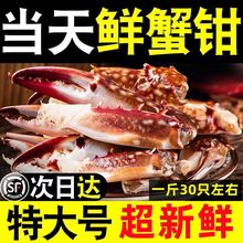 蟹钳冷冻新鲜大鲜活梭子蟹脚商用批发腿海鲜水产捞汁商用厂家直销