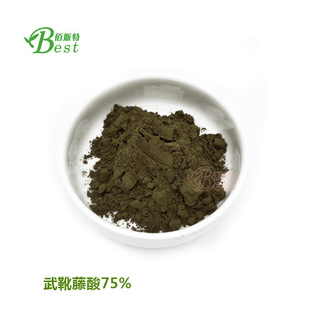 �׸�����ȡ��75%��ѥ���� �S�����N�F؛Gymnemic Acids��ѥ����ȡ