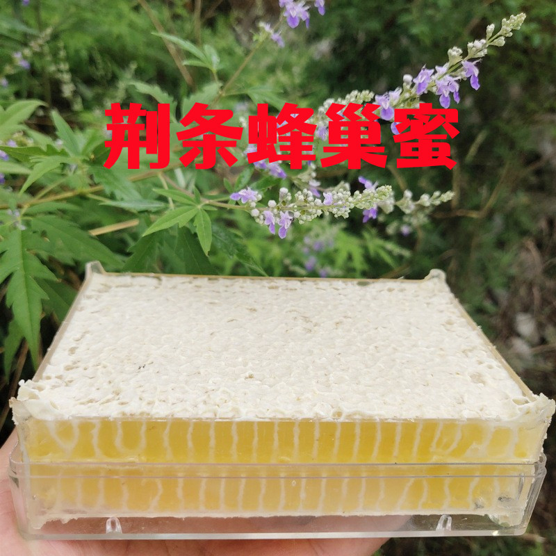 嚼着吃的蜂巢蜜荆条蜂巢蜜百花蜂巢蜜1斤盒装500g