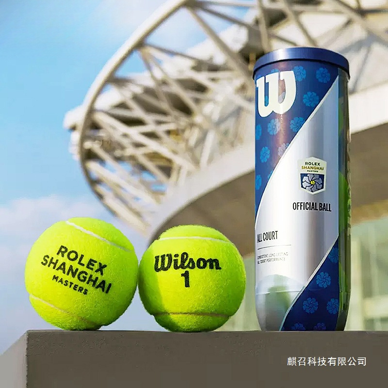 Tennis Wilson Pressed Ball Shanghai Masters Us Open French Open Professional Training Competition Ball