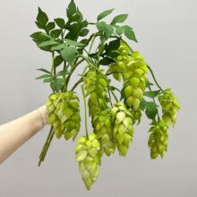 ��Ʒ�|���滨ơ�ƻ�ܛ�z���������ֲ��Gֲ��@�zӰ���Ĕ[�����l