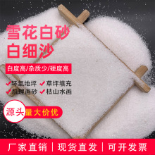 儿童娱乐沙草坪填充白沙子沙坑白沙肌理画石英砂人造沙滩雪花白砂