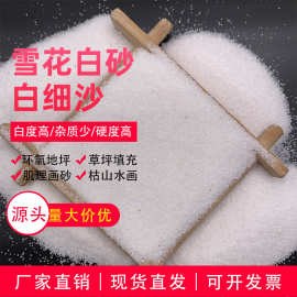 儿童娱乐沙草坪填充白沙子沙坑白沙肌理画石英砂人造沙滩雪花白砂