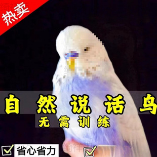 ���^��Ƥ�W�^������fԒ��С�B�������^�p�B���P�W�^�^�pĵ�����B