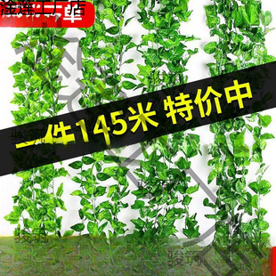 �Nޱ�҃����������l��ɽ���z���p�@�����滨�٠����b�������