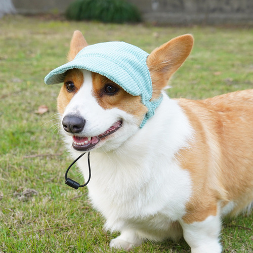 Pet it, casual dress, cat and dog hat, Amazon corduroy pet baseball cap, sun protection outdoor headwear