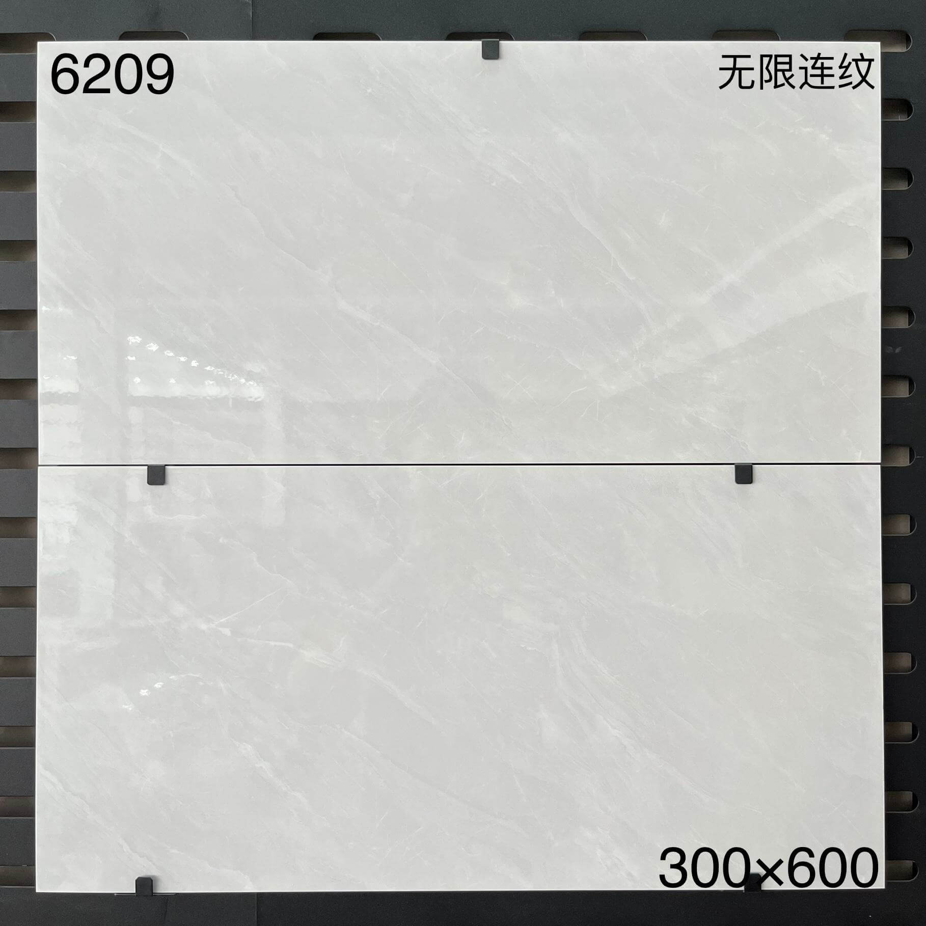 6209