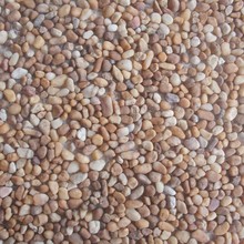 黄金沙  网贴石自由铺贴 鹅卵石马赛克 上海水刷石 洗米石 水洗石