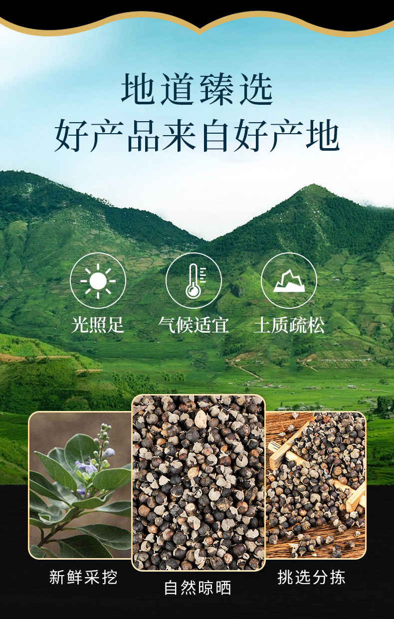 Man Jing Zi (Vitex trifolia) — Dried Fruit of the Chaste Tree for Herbal Tea & Decoction overview