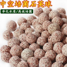 {пʯӢ~מV^Vմɭhht