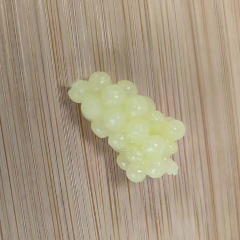 微信图片_20230907160145 拷贝