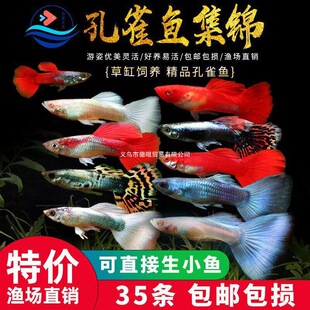 �Ꭷ�^�p�~���wС�Ϳ�ȸ��ˮ�~�猚ɏ�������t�G���~�Pβ���B�~