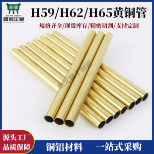 h65�o�p�S�~�P�� h63 h62�S�~�� ���_�~�� ���C������~�� ����