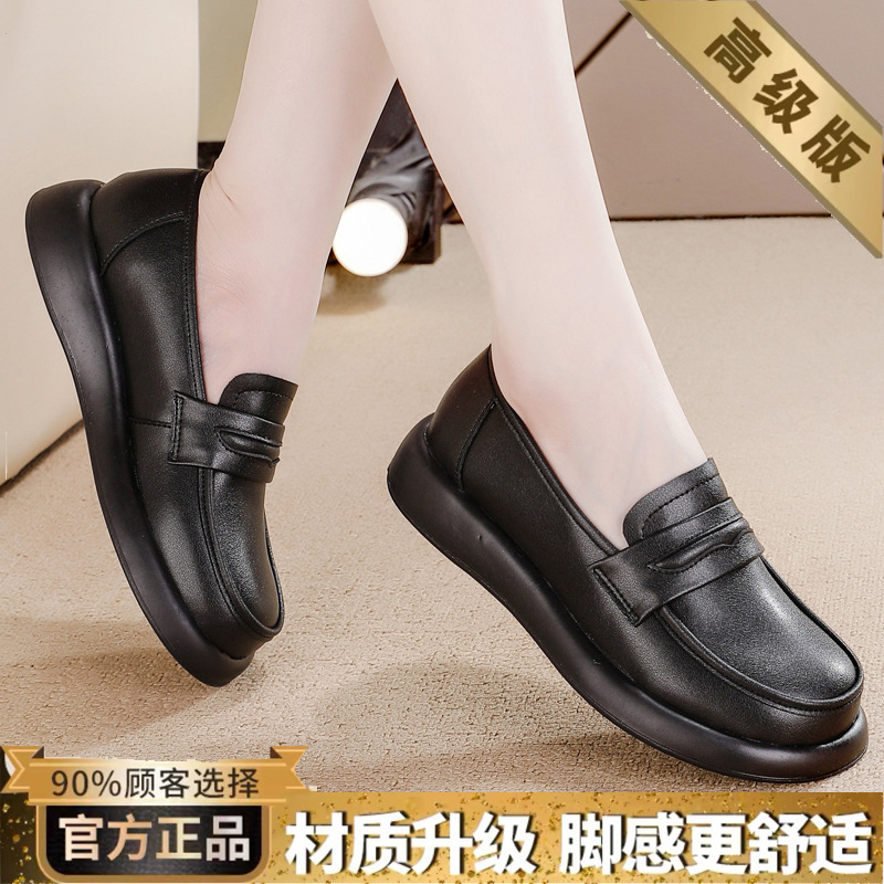 블랙 업그레이드 버전