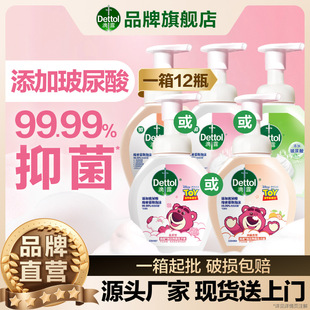 Dettol Foam Antibacterial Hand Sanitizer Hyaluronic Acid Ingredients Cleansing Hand Care Moisturizing Fragrance Optional 250ml