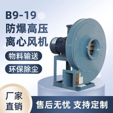 B9-19���߉������x���L�C�I���m偠t�ş� �͸ߜ��o��΁ţ���L�C