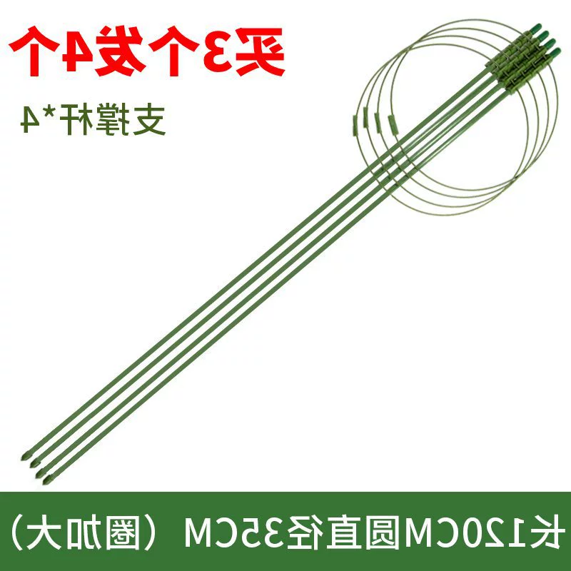 Timeto -когда л 클imbing Flower Gardening Pillar Balcony Green Rose Rose Rose Tienine Lotus Teng Botan Plants Climbing Crab Claw Support Ring