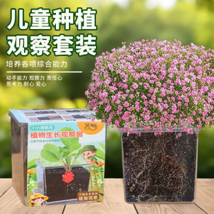 MǷNӃͯNֲСײ͌WƌW򞷬PɻտN