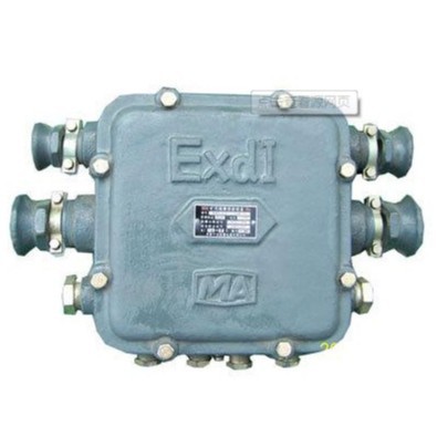 BHDT-3-0.06/127-6T隔爆型固定式电话电缆多通接线和分线盒20对欢