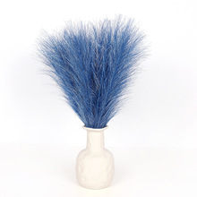 镀金潘帕斯草 亚马逊跨境45cm现货 北欧ins装饰 仿真金丝芦苇