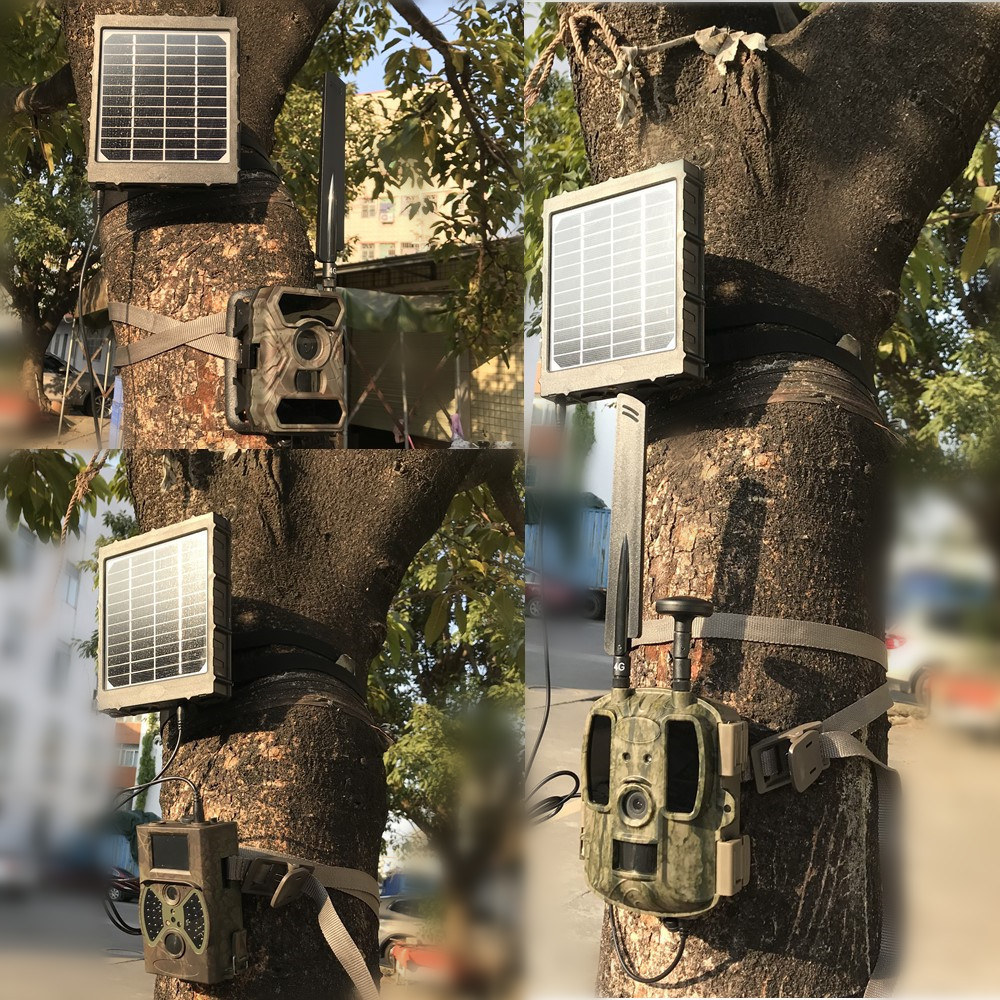 BL8000狩猎安防相机太阳能电池10000毫安多种电压输出原工厂