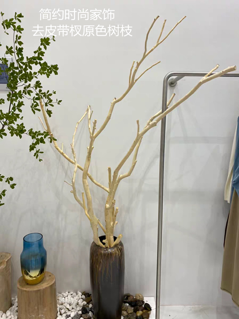 。Arquivos de flores de ramas secas de madera tronco artístico ramas secas maderas secas de madera secas descorpeadas modelado percha de pared paquete de tronco