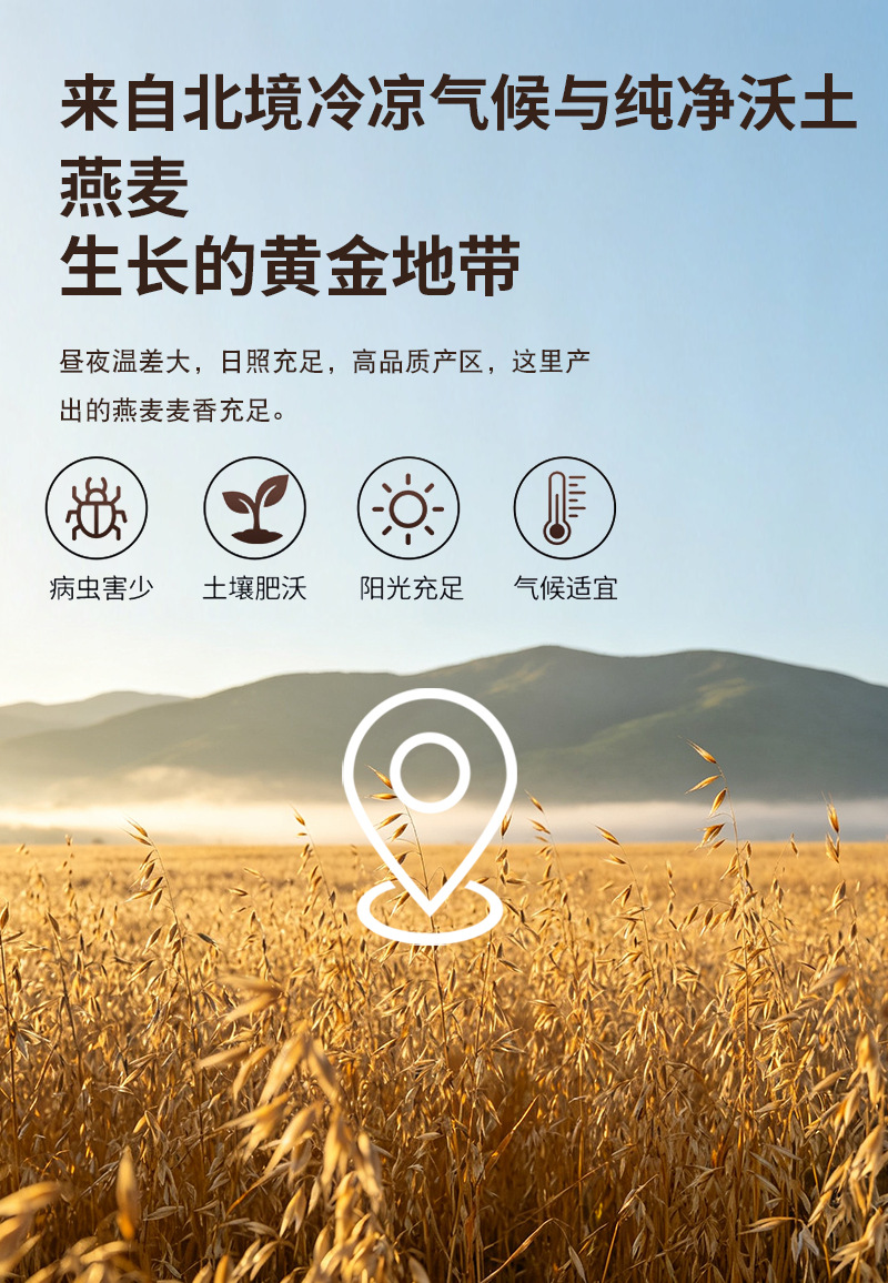 Roasted Oat Flour Yan Mai Fen Instant Drink Powder Food Grade Bulk 500g preparation