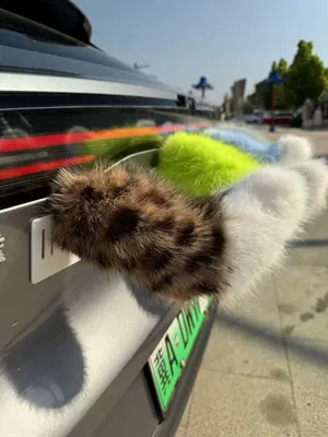 Other Automotive Exterior Supplies | series parking space decoration, sound-controlled - leopard-print
