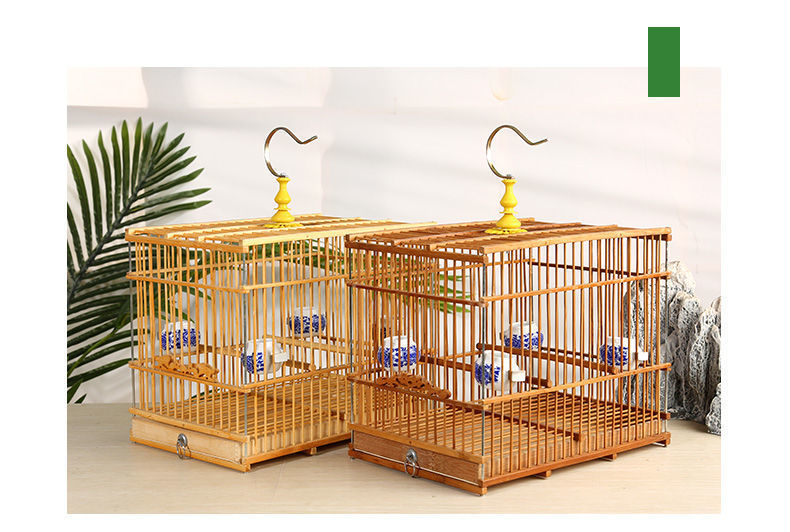 9a3ddc6b-1bce-46c6-b3cc-ab79882e36c5.jpe