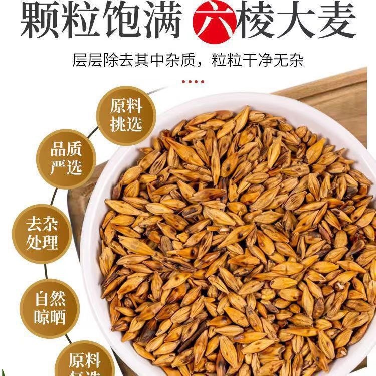 大麦茶正宗浓香型大麦茶三角包独立小包装酒店饭店专用批发代发|undefined