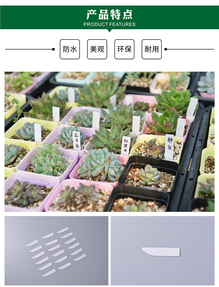 一字插地标签_08