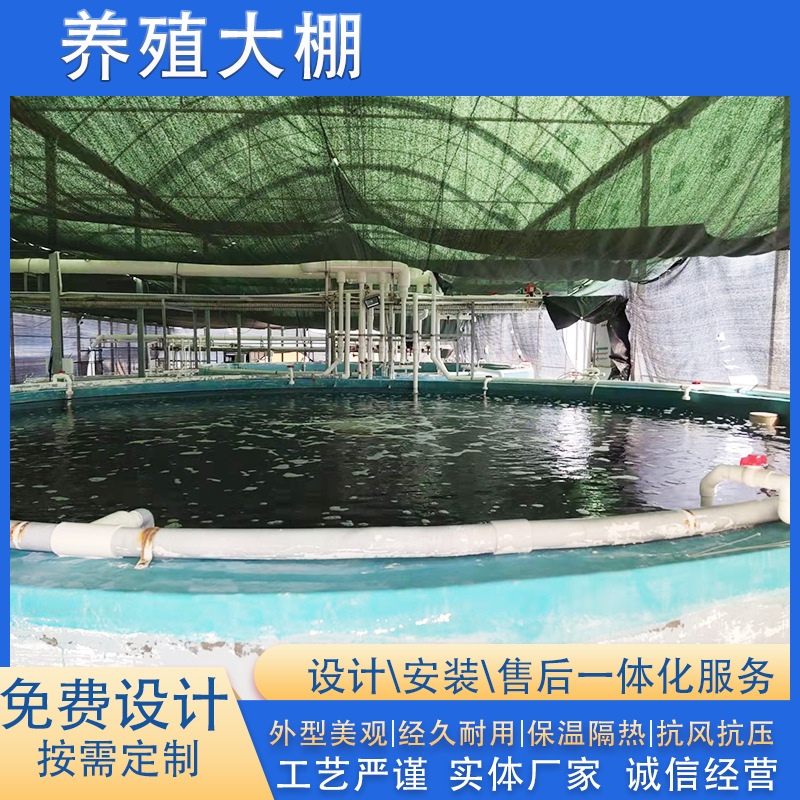 广东连栋养殖温室大棚 热镀锌管联栋水产大棚专用大棚膜 厂家供应